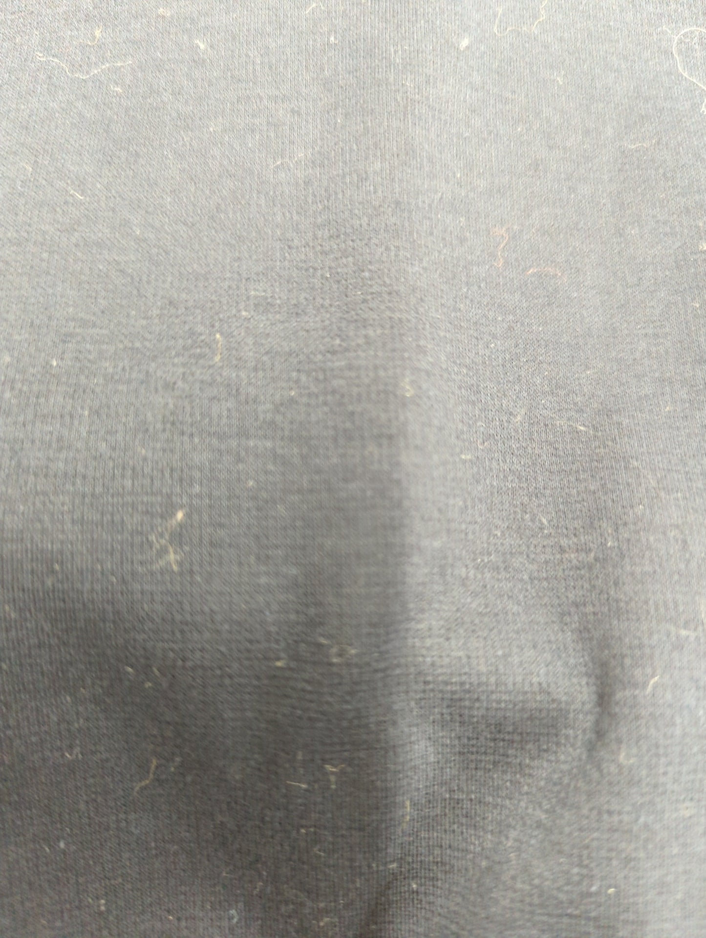 Tシャツ/カットソー